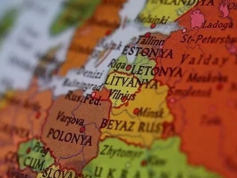 Dilin Yasalarla Korunma Stratejilerinde Ülke Uygulamaları: Litvanya Örneği